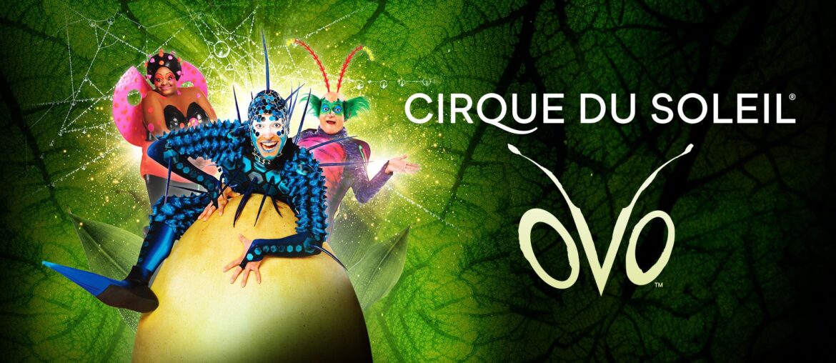 Cirque Du Soleil - Ovo - Prudential Center - 06060606 2222 2024202420242024